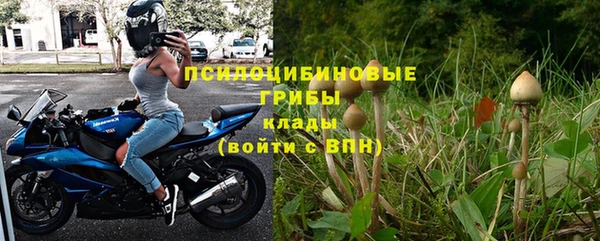 амф Каменка