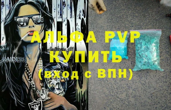 амф Каменка