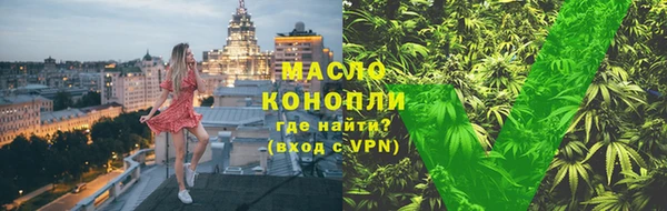 амф Каменка