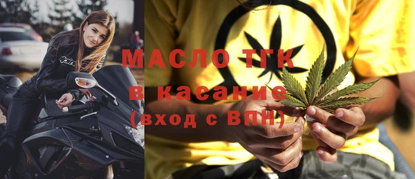 амф Каменка